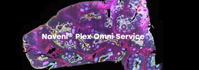 Protein-protein interactions - Naveni® Plex Omni Service