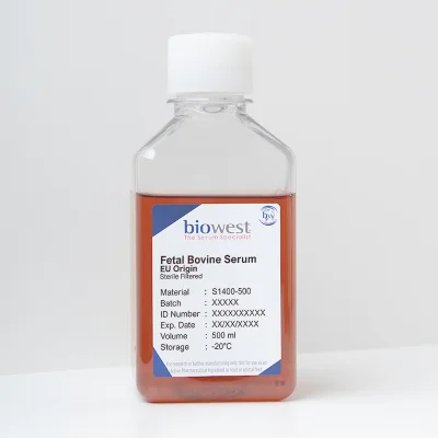 Fetal Bovine Serum (FBS)