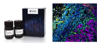 VectaPlex ™