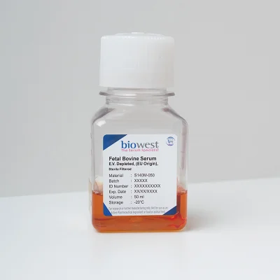 Fetal Bovine Serum (FBS), E.V. Depleted (exosome free)